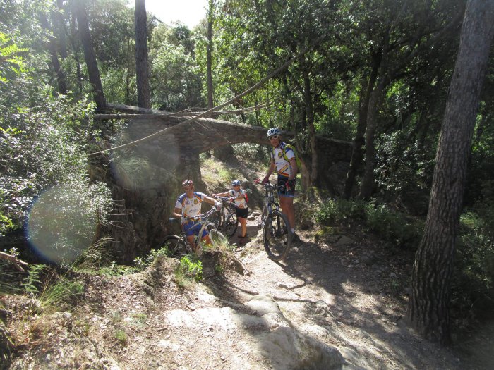 Photos VTT